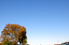 秋空
