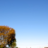 秋空
