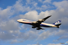 秋雲とNippon cargo