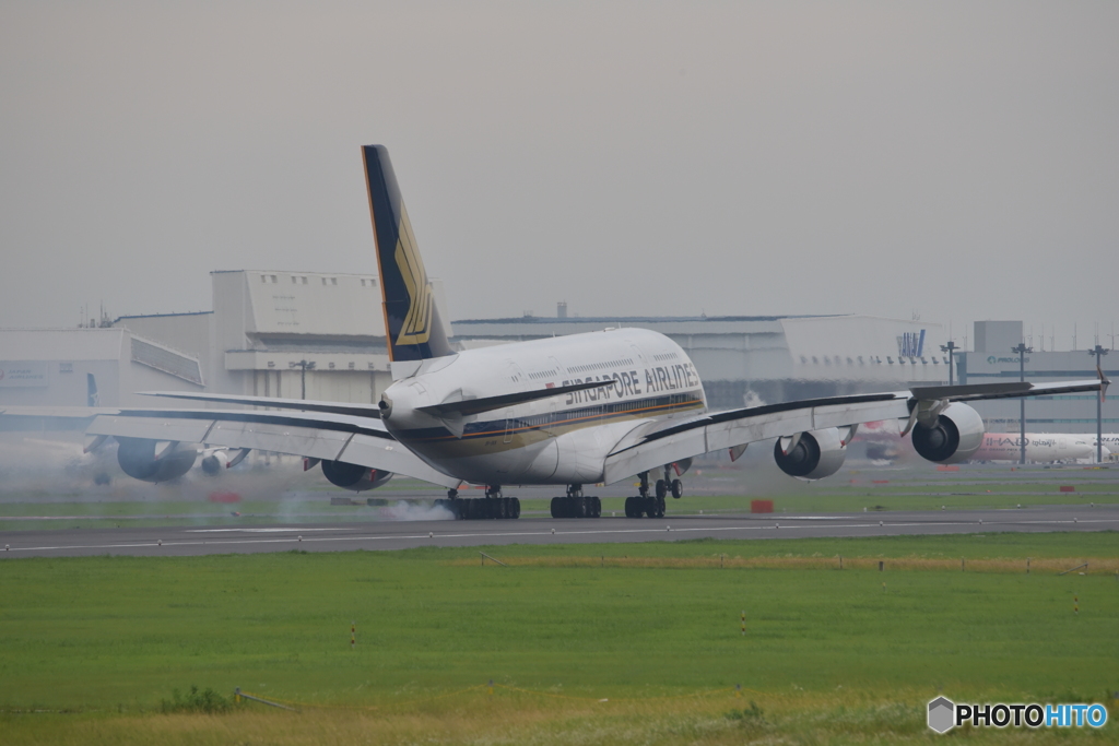 成田さくらの丘公園　A380②