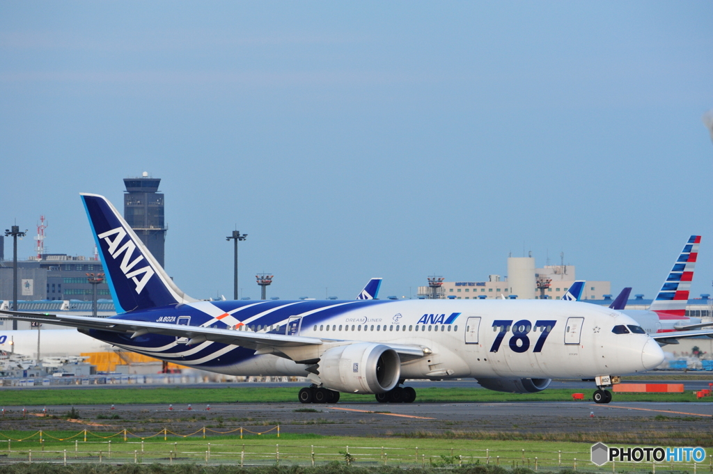 大好きな787②