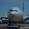Ti voglio tanto bene Alitalia⑤　マルコポーロ空港