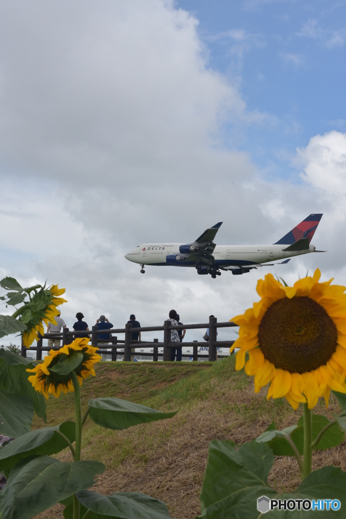 夏空とデルタB4