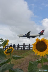 夏空とデルタB4