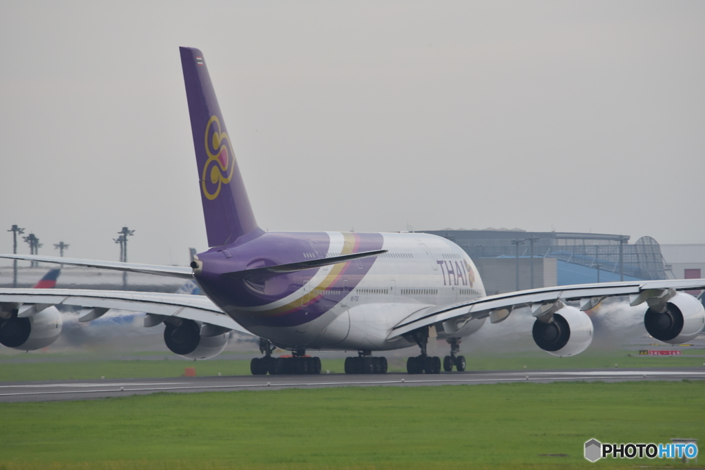 成田さくらの丘公園　A380④