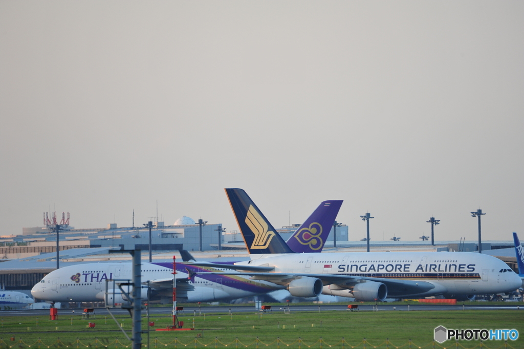 A380　W共演
