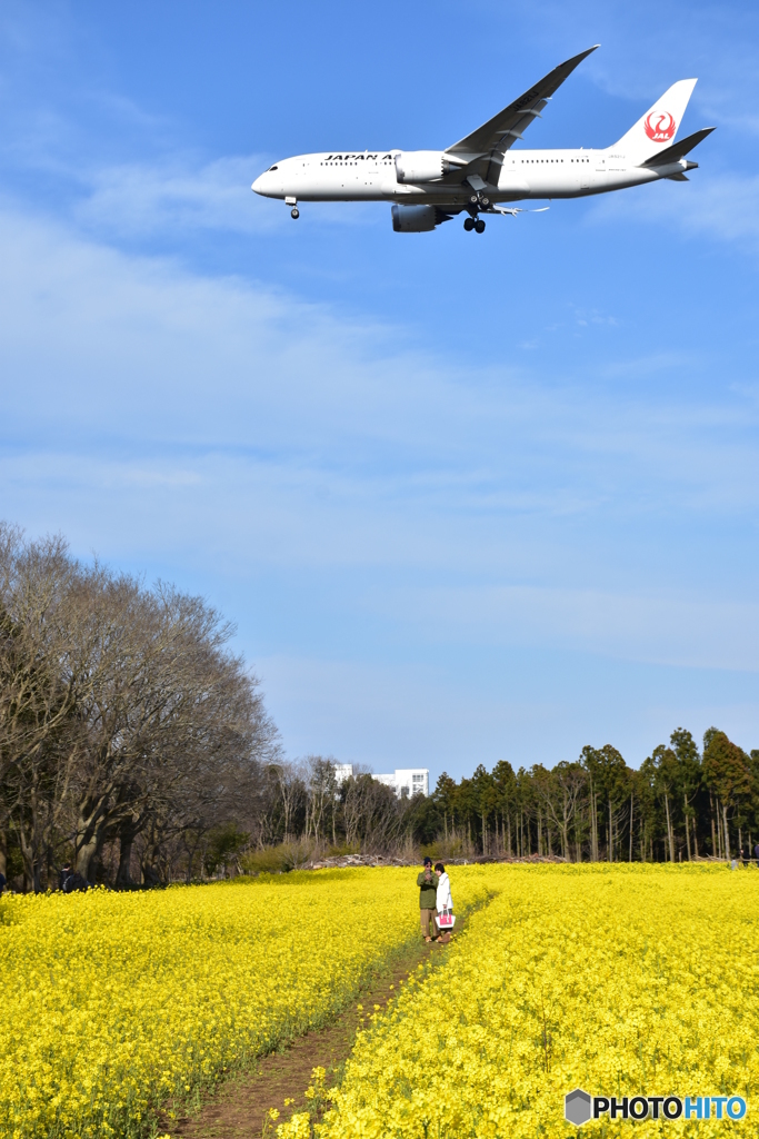 飛行機をバックに自撮り？