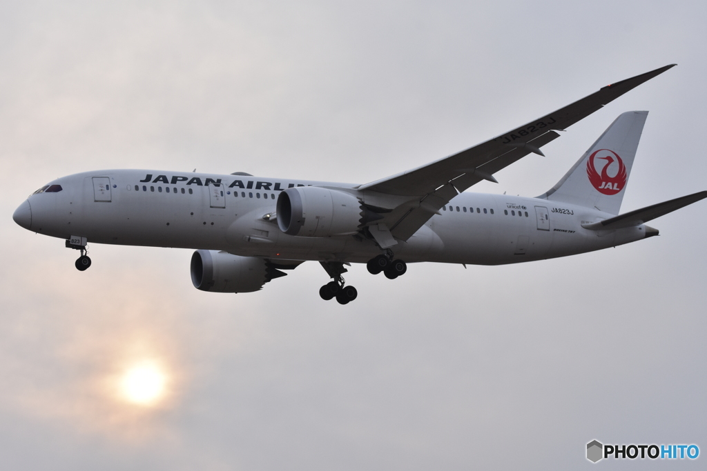 16L侵入　JAL