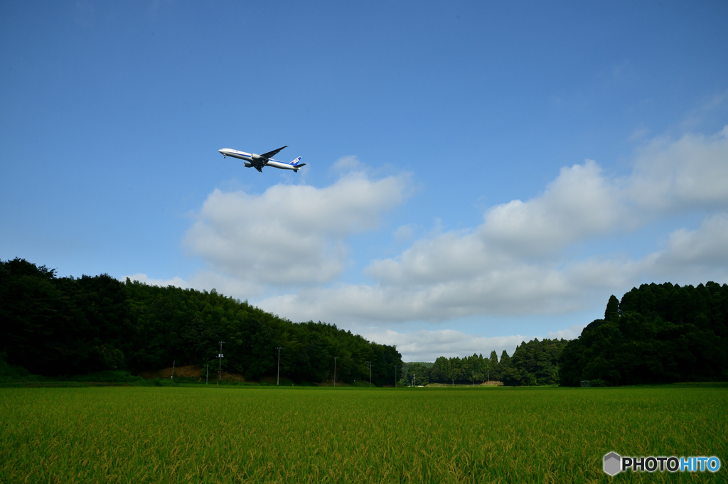 成田な風景（田園）