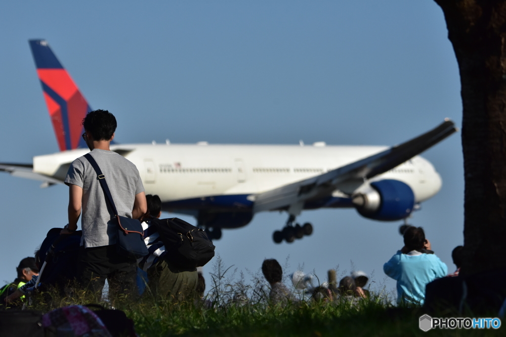 飛行機の見える公園