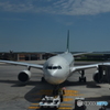 Ti voglio tanto bene Alitalia④　マルコポーロ空港