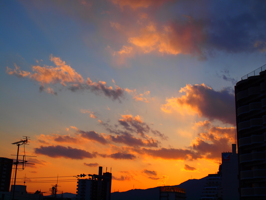 空　Scene03