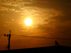 空　Scene07