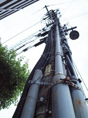 電信柱　Scene01