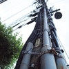 電信柱　Scene01