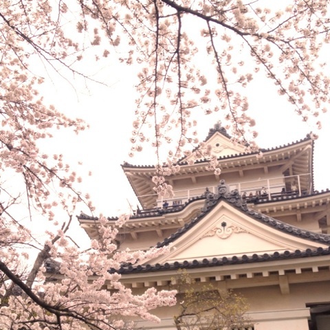 別名『東海桜城』