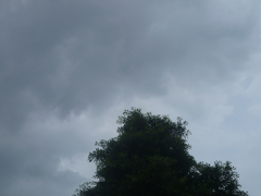 もうすぐ雨が降る