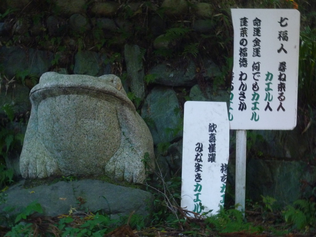 みな生きカエル