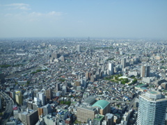 高い所はお好きですか?