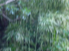 手振れ２