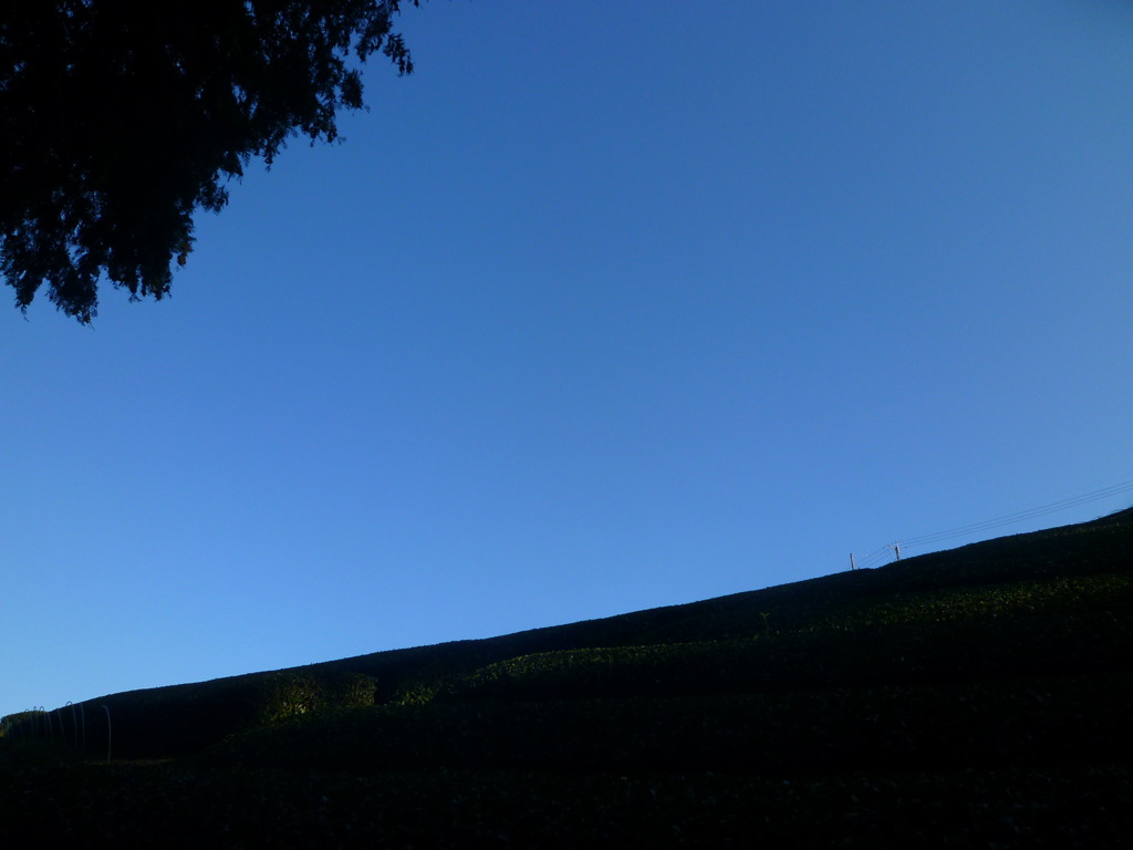 青空