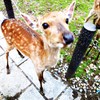うるるん