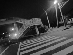 横断歩道