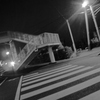 横断歩道