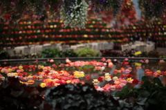 花園