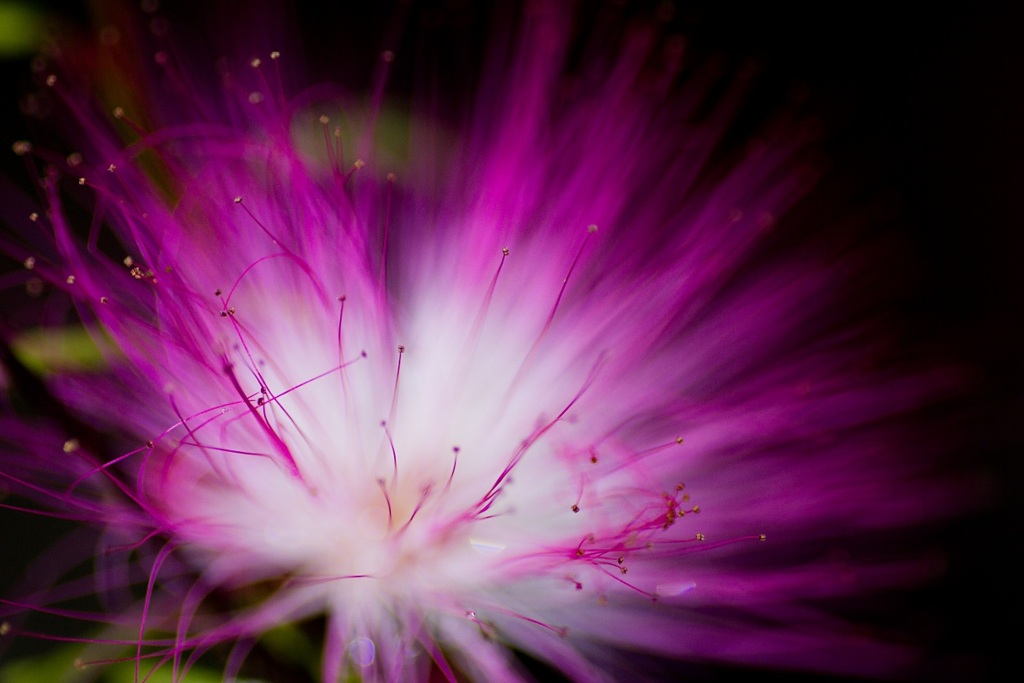 Feux d'artifice