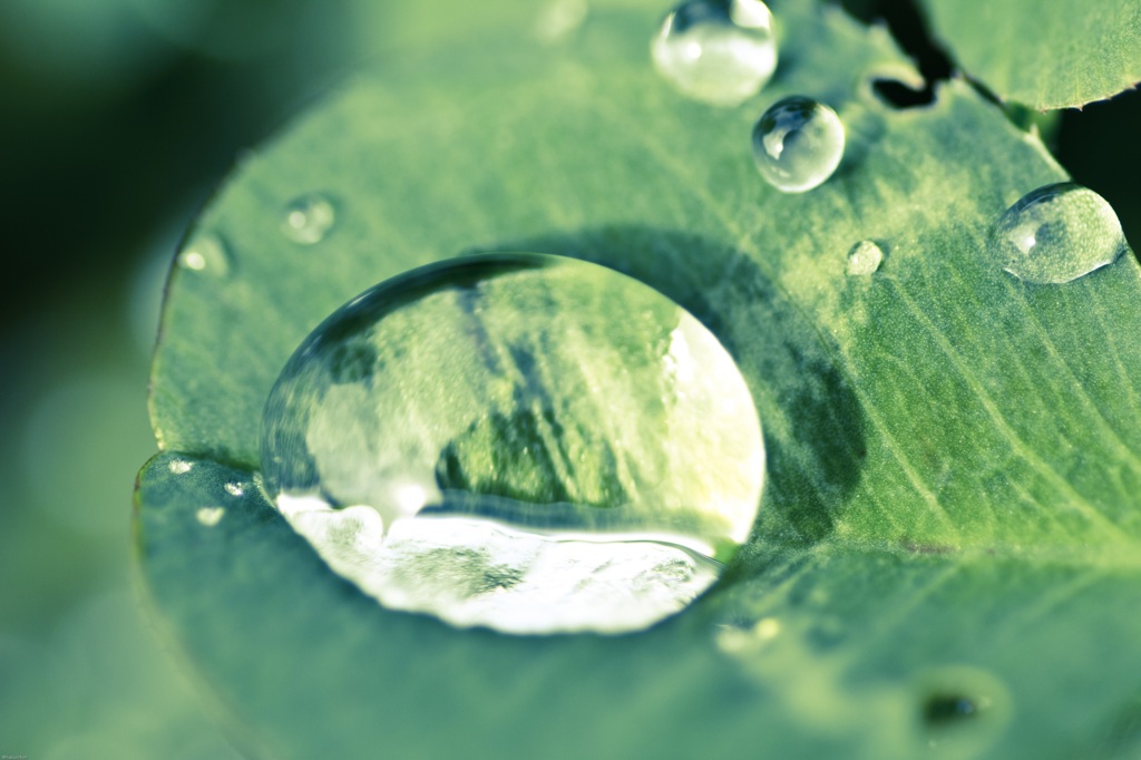 Une goutte