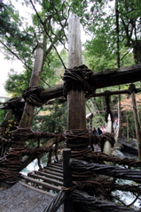 祖谷かずら橋