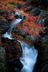 秋彩の渓谷