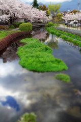 水の都の情景