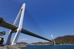 日本初の複合斜張橋