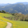 高原