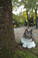 居心地