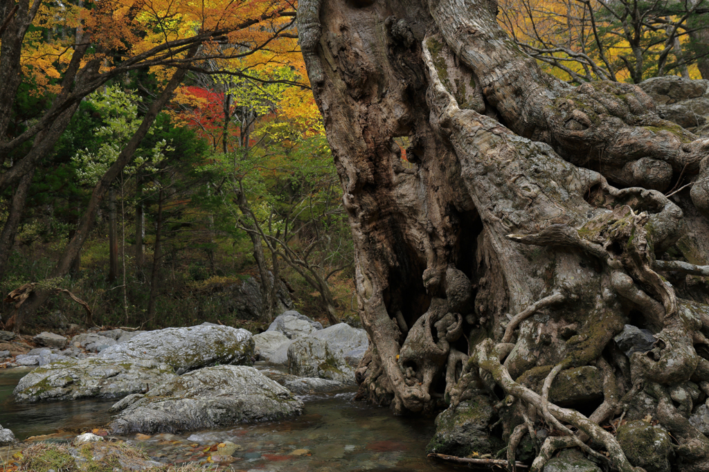 遭遇