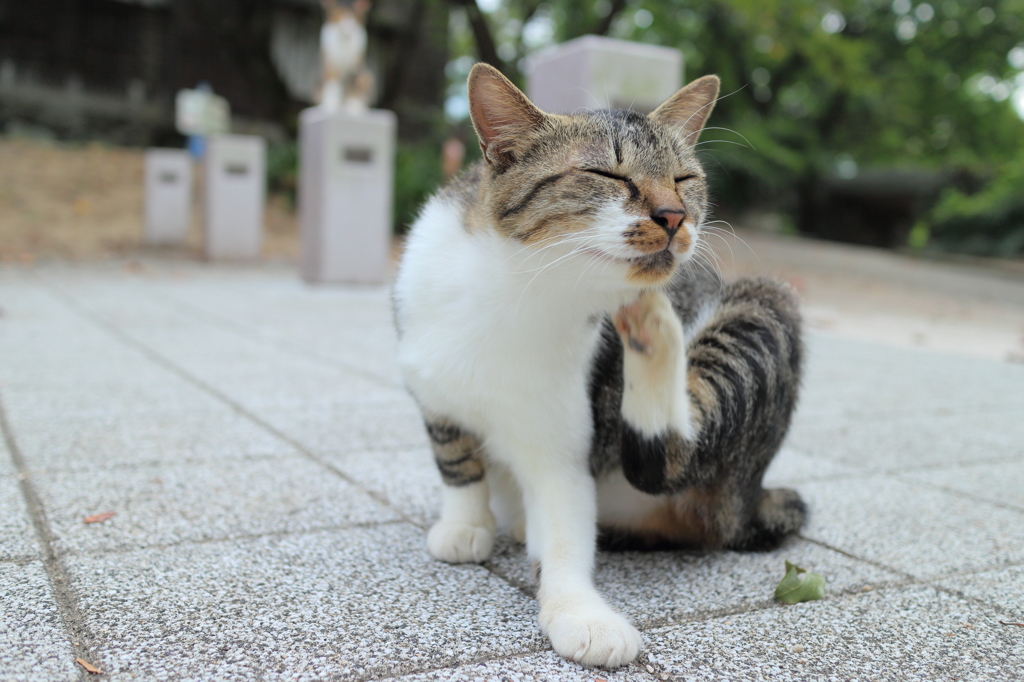 気持ちよか～