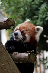 道後動物園