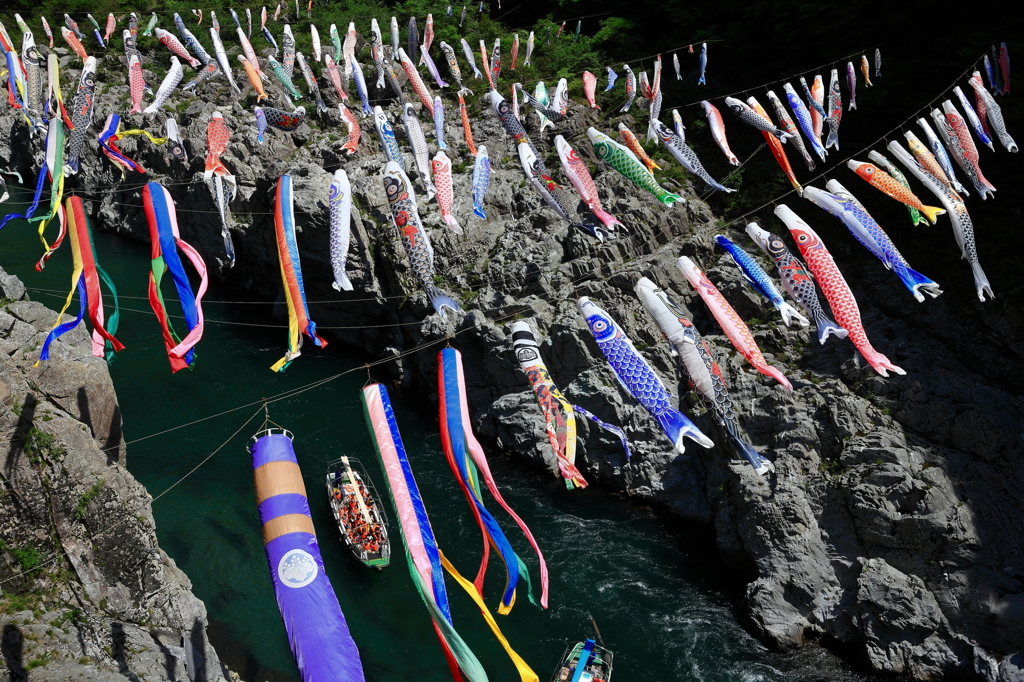大歩危峡を泳ぐ
