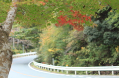 一部分だけ・・・・