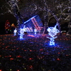 木曽三川公園にて