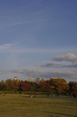 梅小路公園と京都タワー