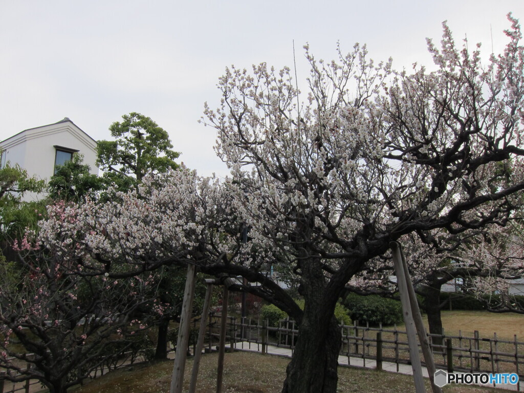 宮内公園