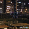 バラ園にて