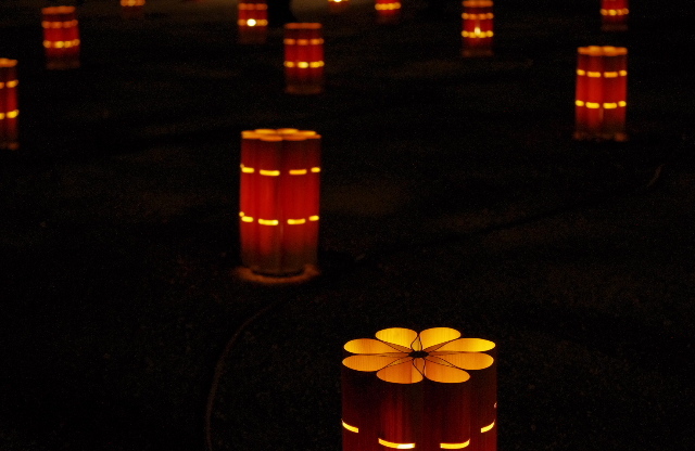 灯花