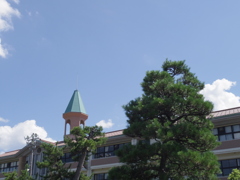 青空、白い雲、松と校舎