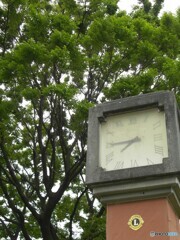 公園の時計