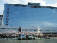 Sakura & Mirror Building